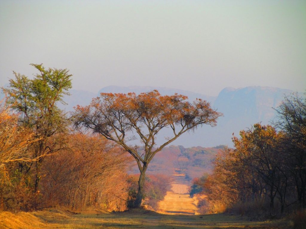 South African Travel Packages