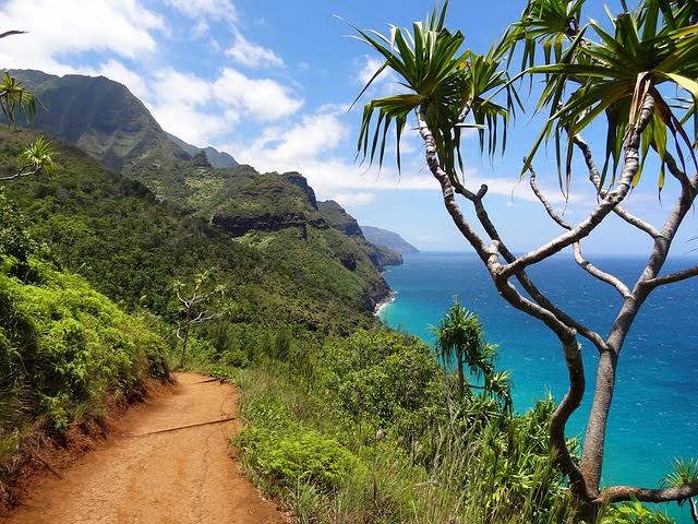 Take A Vacation To Hawaii