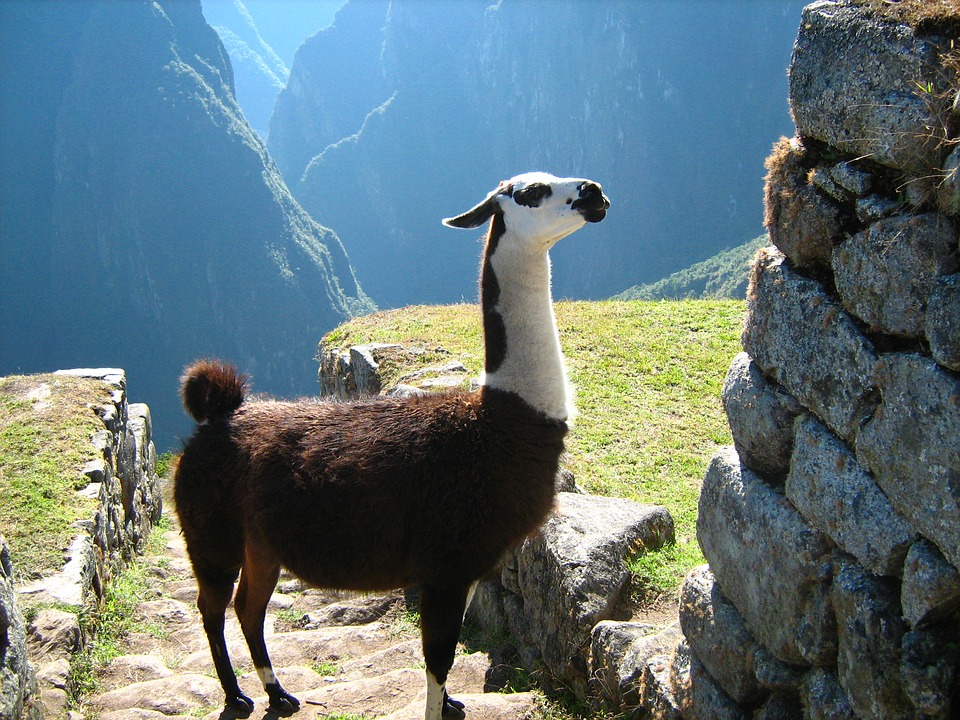 Travel To Machu Picchu